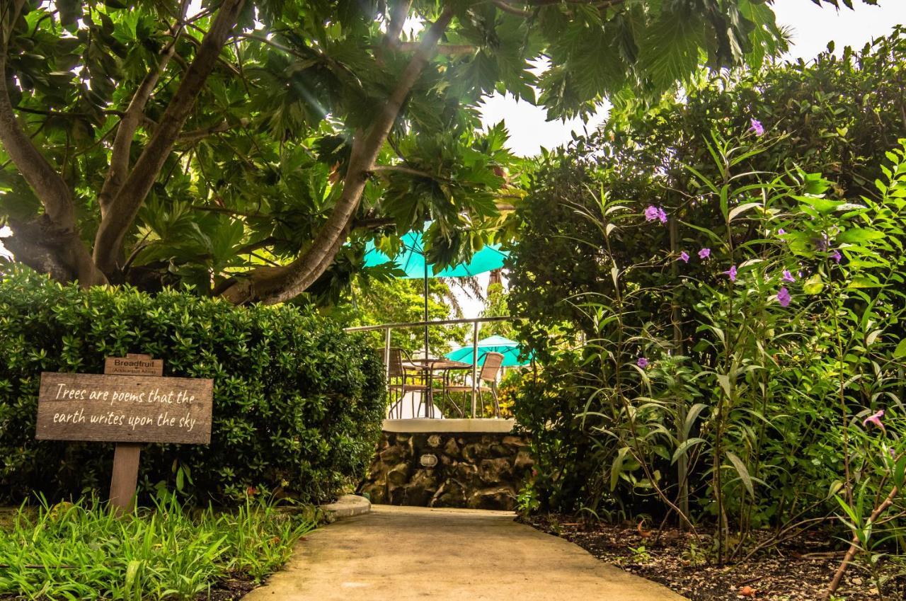 Harbour View Boutique Hotel & Yoga Retreat Belize City Exterior photo